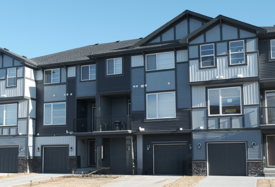 Untitled design (55)