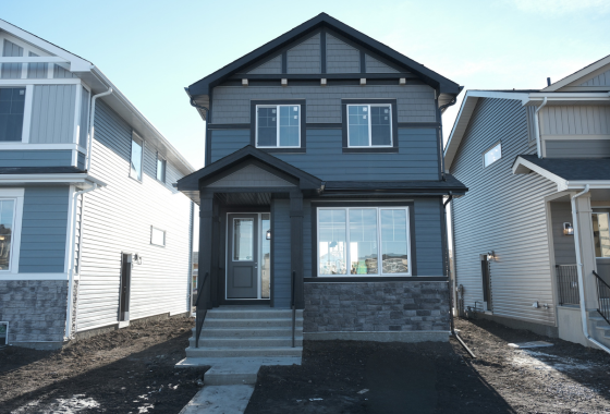 Untitled design (59)