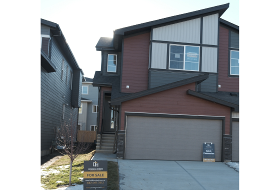 Untitled design (74)